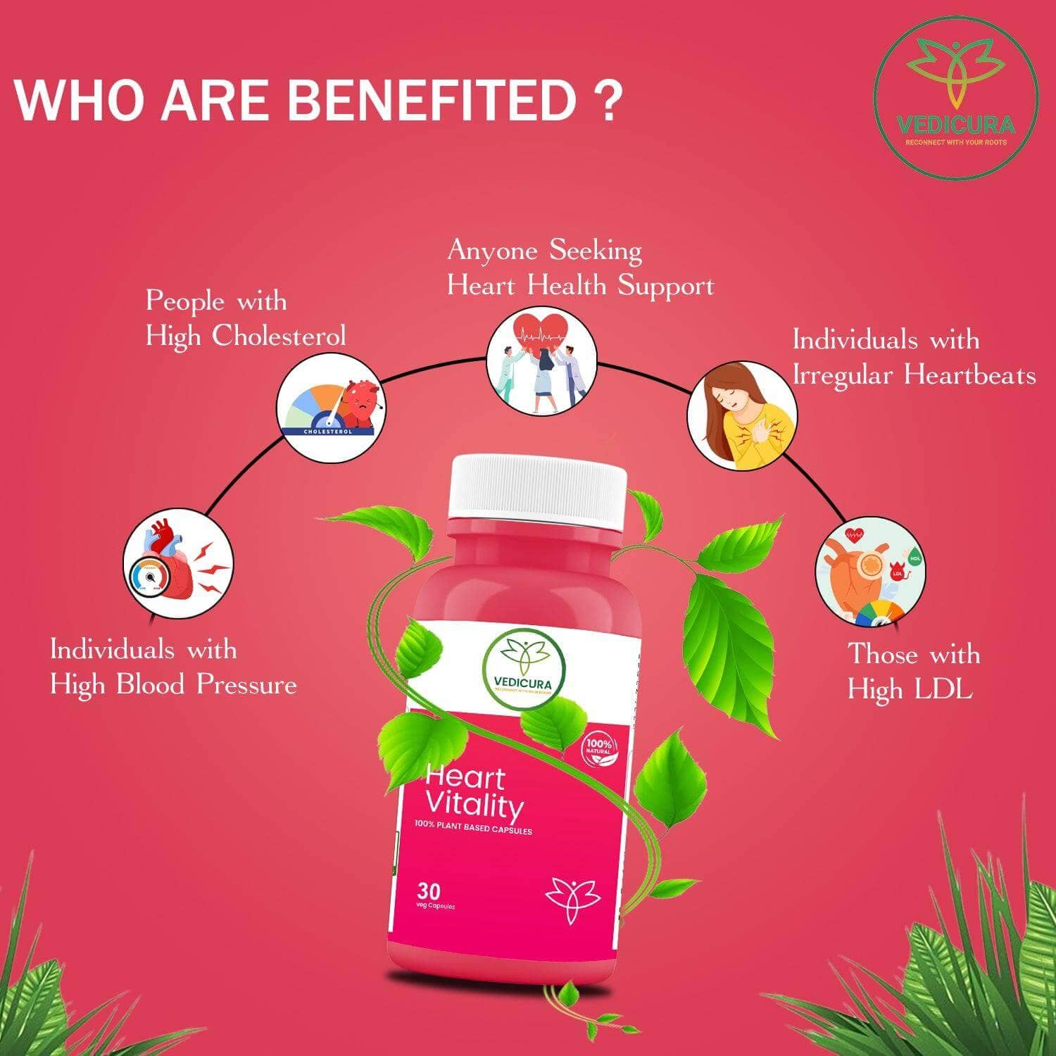 Heart Vitality - Premium Cardiovascular Support Formula - 30 Cap - VEDICURA