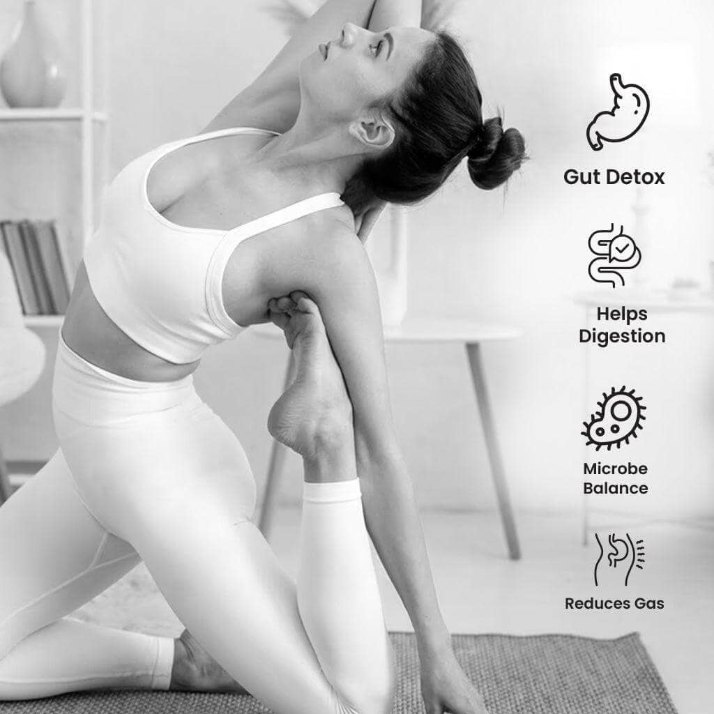 Microbe Gut Comfort - a highly efficient Probiotic: Ayurvedic Digestive Support Supplement - 60 Capsules - VEDICURA